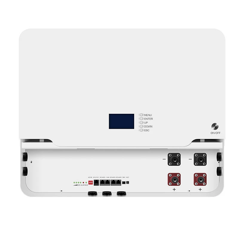 EYUN 51.2V 100Ah 5.12kWh LiFePO4 Wall Mounted Solar Battery with Smart BMS RS485 CAN Communication